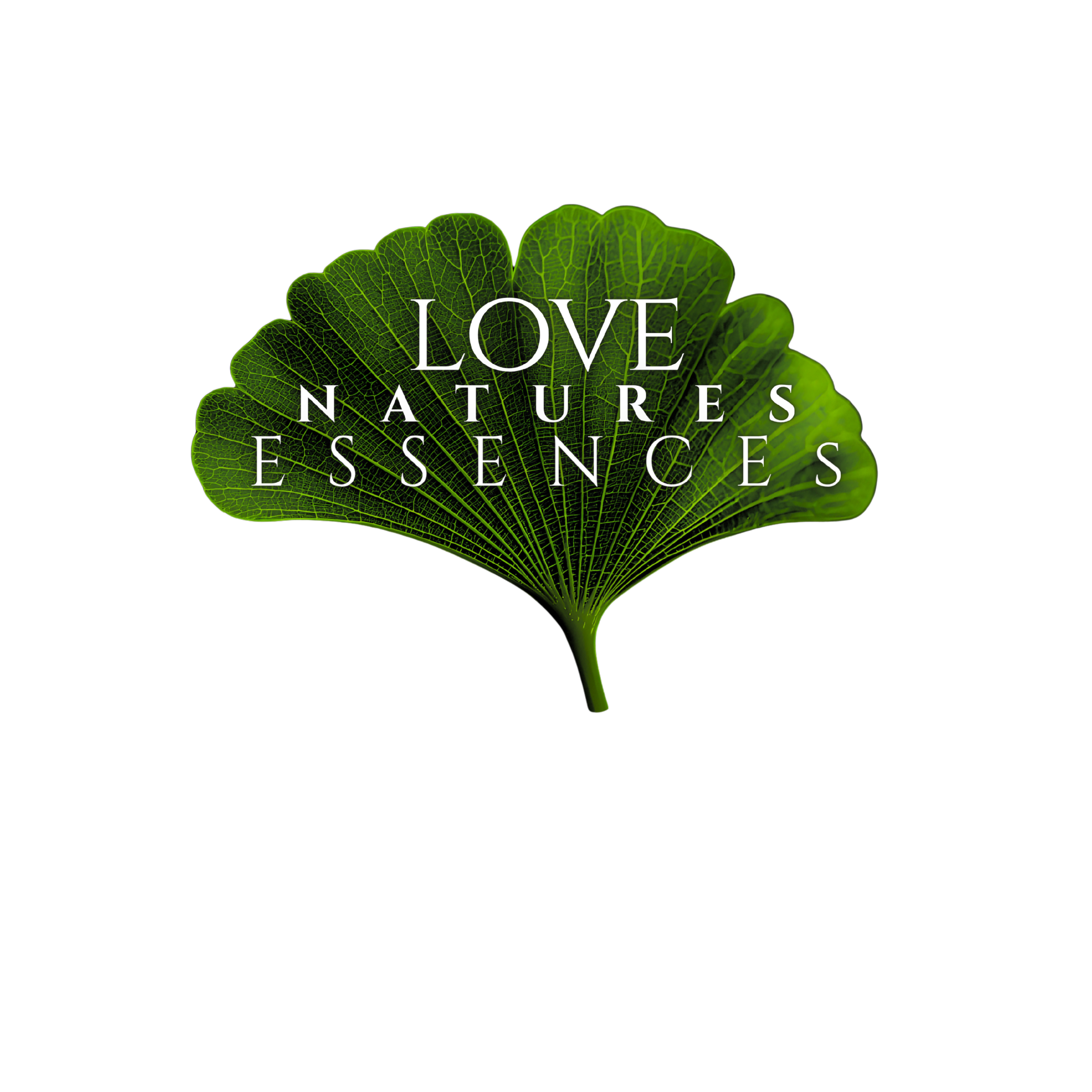 🌿 1. The Essence of True Beauty